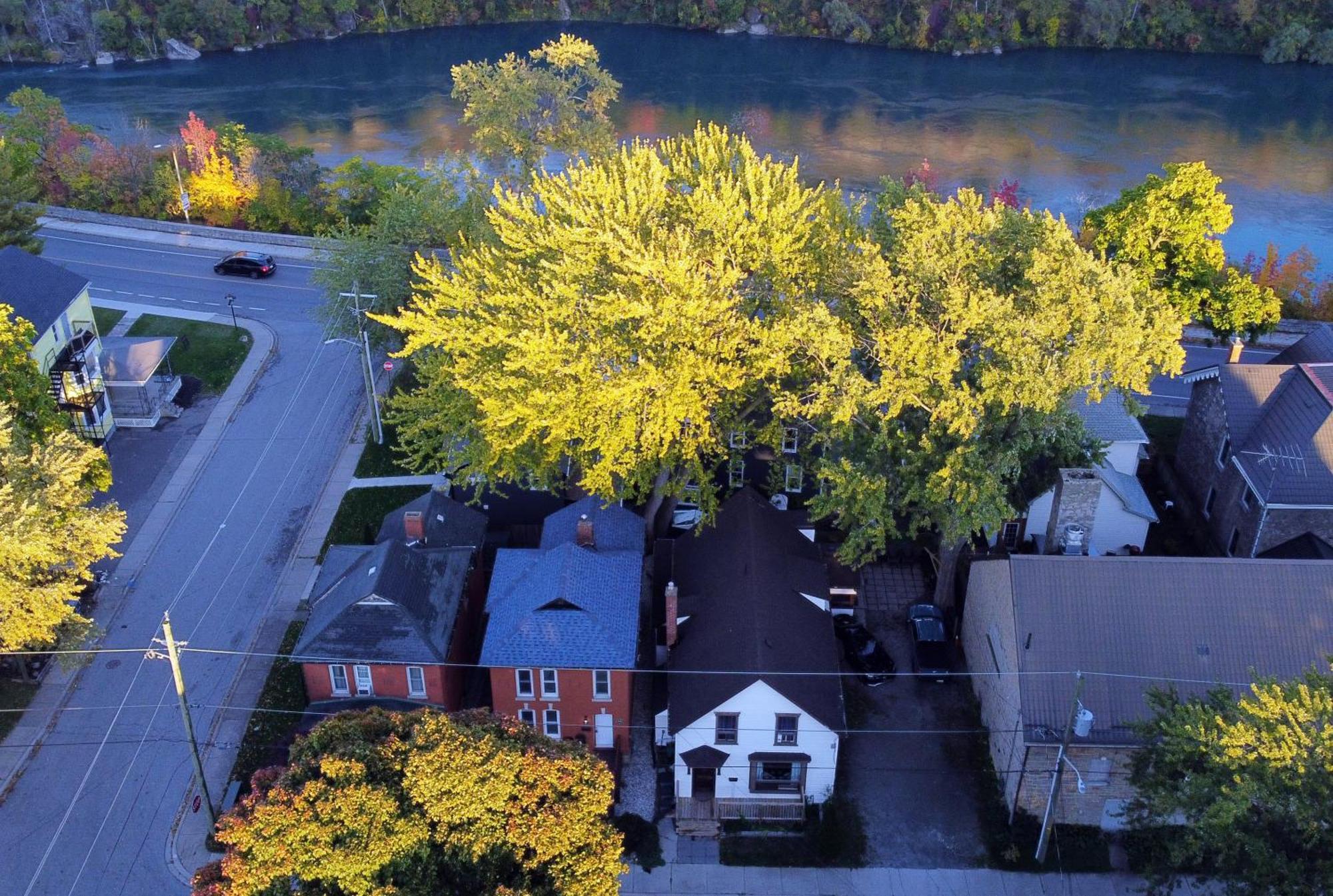 Kasakazam - 1 Min From Falls Apartment *